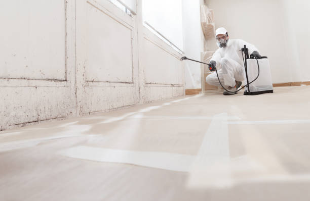 24/7 Emergency Basement Mold Remediation experts in Saddle River, NJ