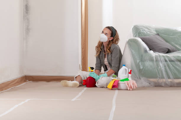 Reliable Basement Mold Remediation contractor in Saddle River, NJ by WQB Mold Removal